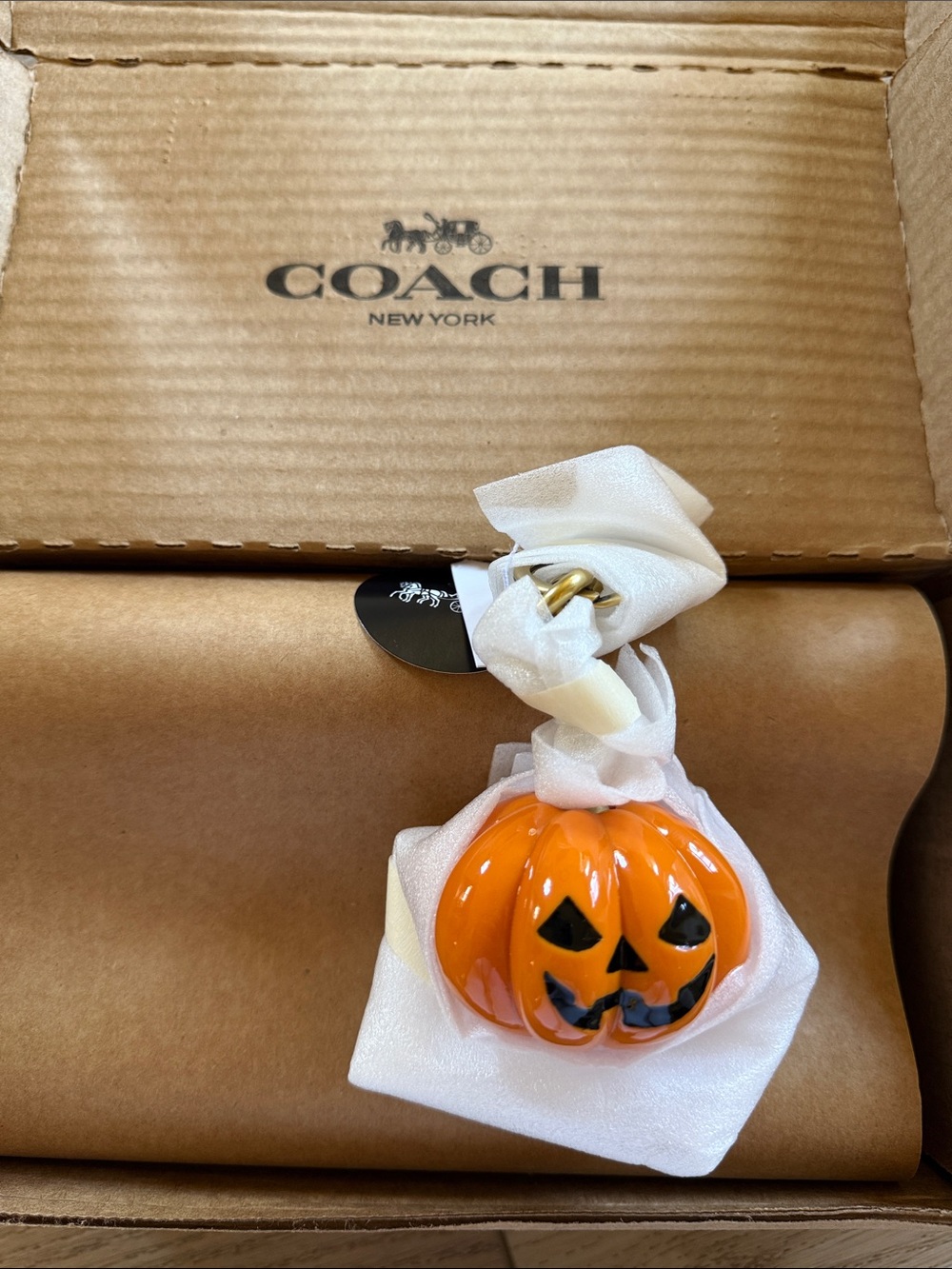 Super rare Coach pumpkin face charm